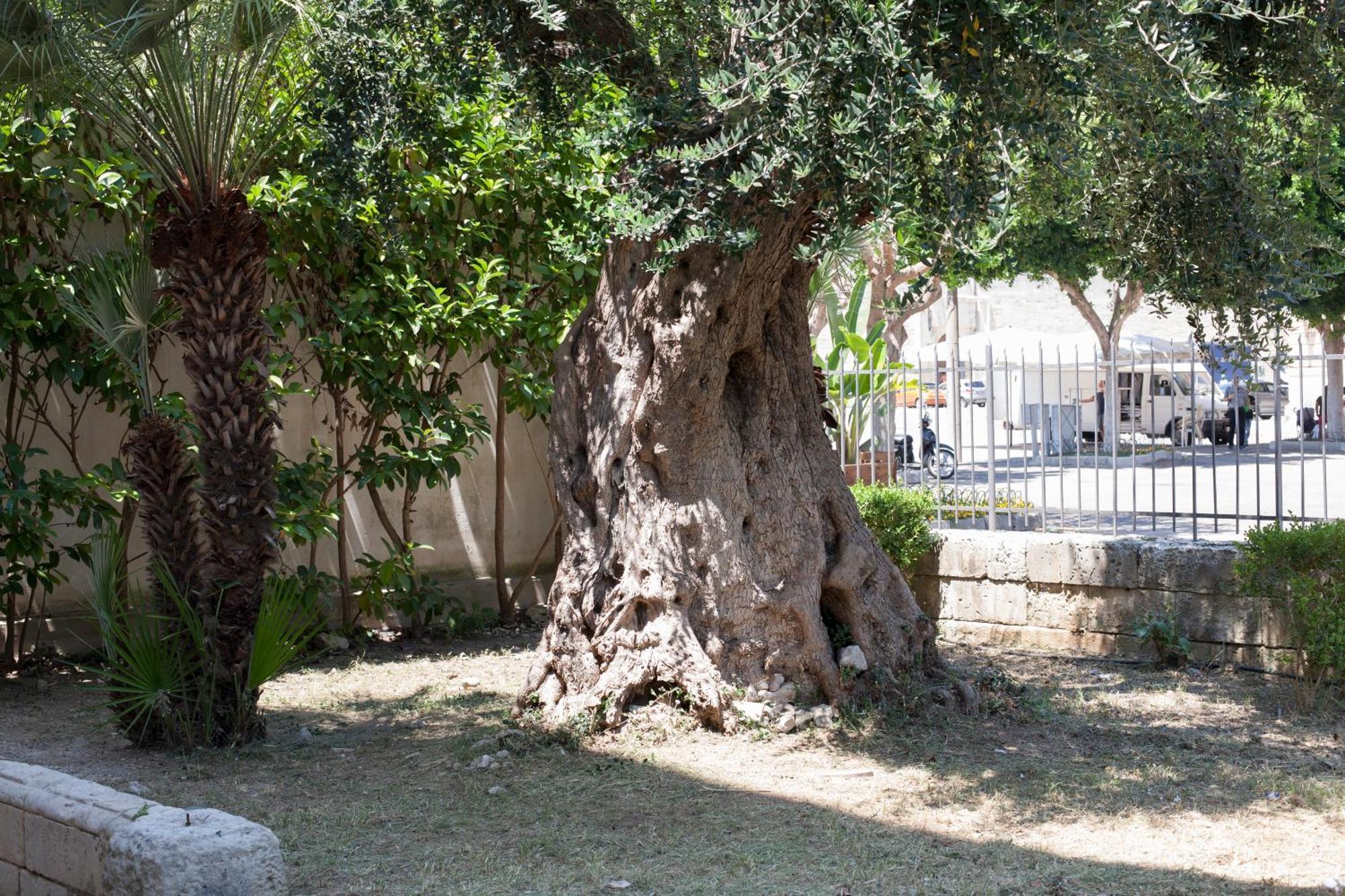 Piazza Libertini Bed & Breakfast Lecce