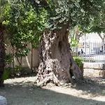 B&B Piazza Libertini